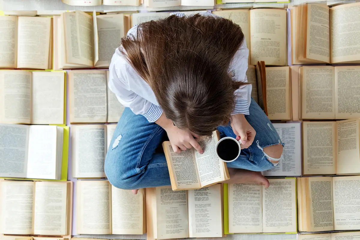 Disseny de llibret de falla